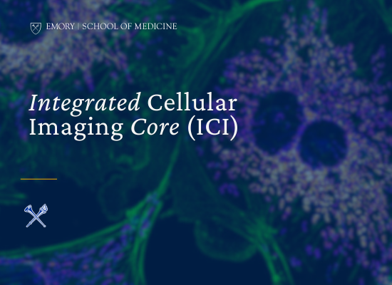 Nexus | Innovation is at our core—how Emory's Integrated Core ...